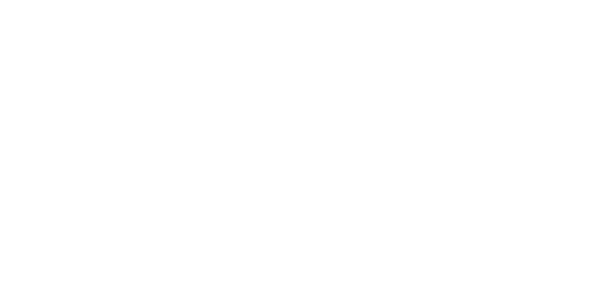 Iron Armour Academy Logo